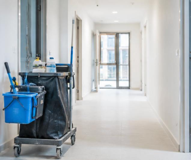 Cleaning Professional